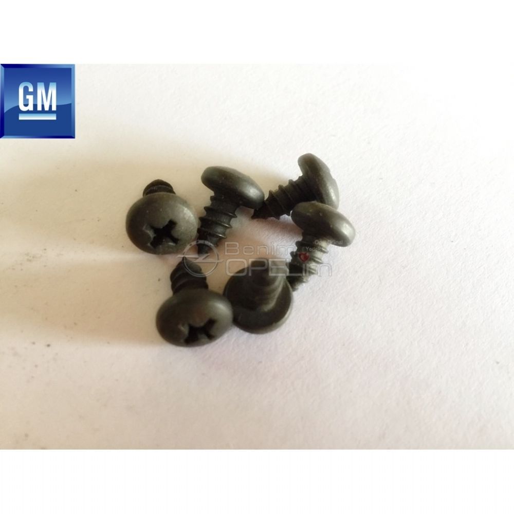 Alet Takımı Ürünleri | Küçük Saç Civatası Siyah 5X10 GM Orijinal | KOD0069 | 